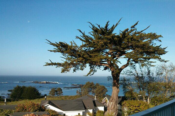 Wild Mushroom Dinner @ Little River Inn on Mendocino Coast, CA