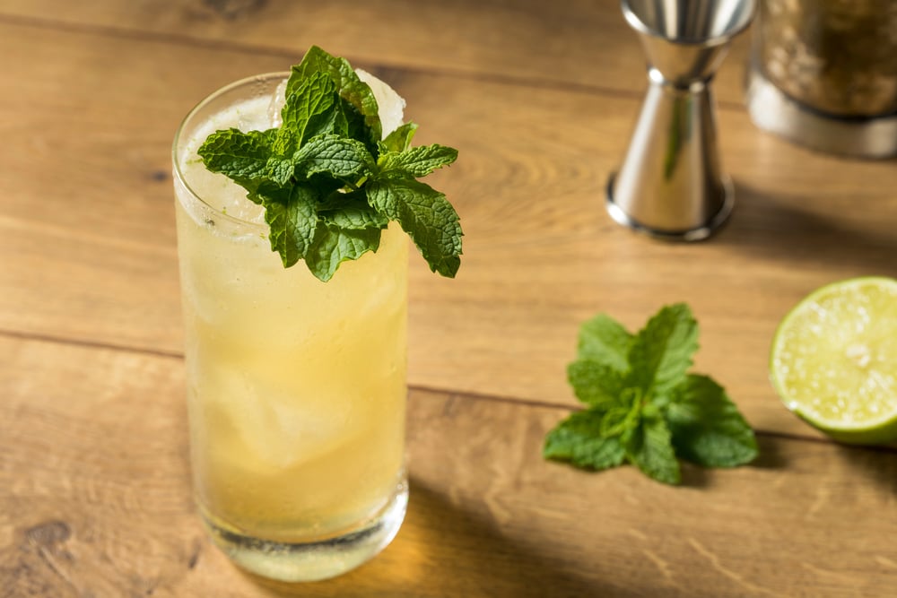 Gin Mule Cocktail with LIme and Ginger Beer